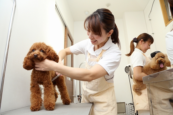 トリミング室　写真