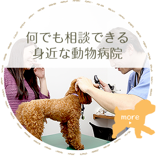 何でも
