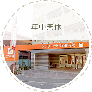 年中無休