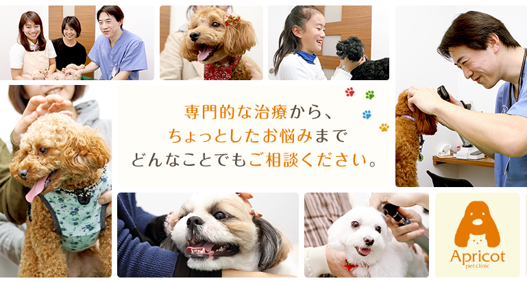 専門的な治療から、ちょっとしたお悩みまでどんなことでもご相談ください。