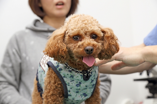 治療法
