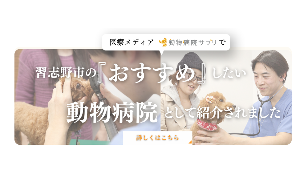 動物病院サプリ