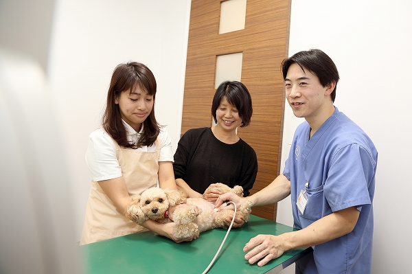 精密健康診断