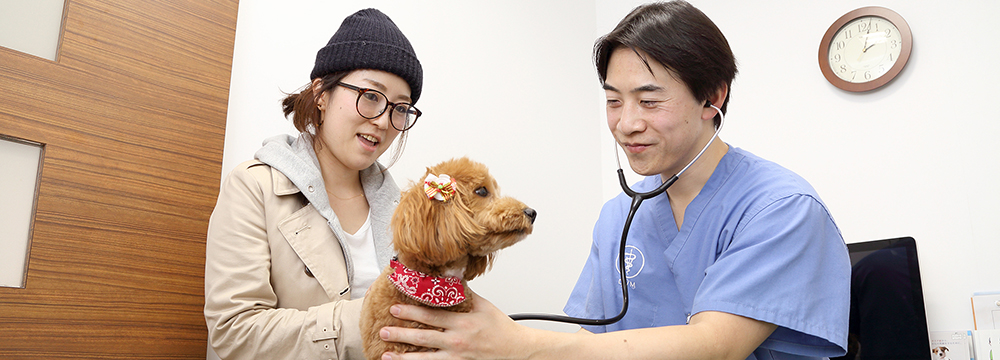  健康診断・セカンドオピニオン
