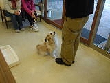 アイコンタクト