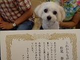 卒業