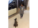 お座り